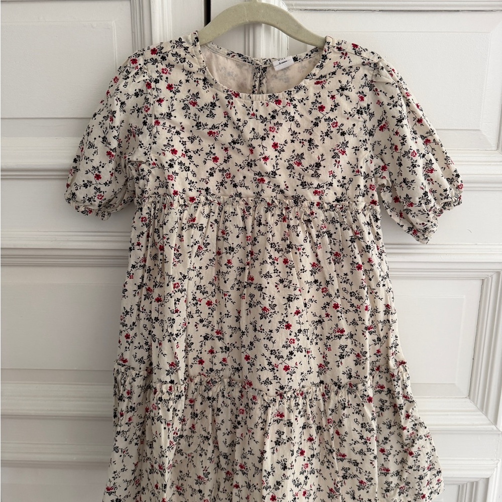 Baby Gap 5t Floral Kids Dress - Cream and Red